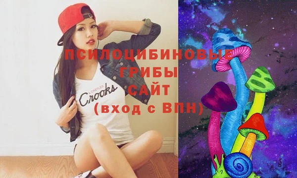 мяу мяу мука Аркадак