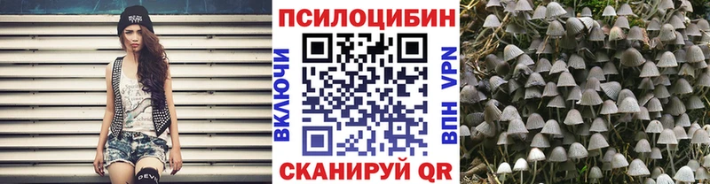 что такое это формула Псилоцибиновые грибы Cubensis Мариинский Посад