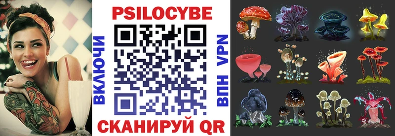 Псилоцибиновые грибы Psilocybe Мариинский Посад